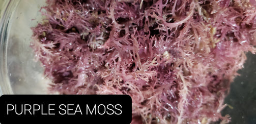 Purple Sea Moss Gel – iwantrealfoods